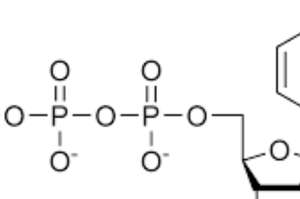 CTP的能量密度究竟能到多高？