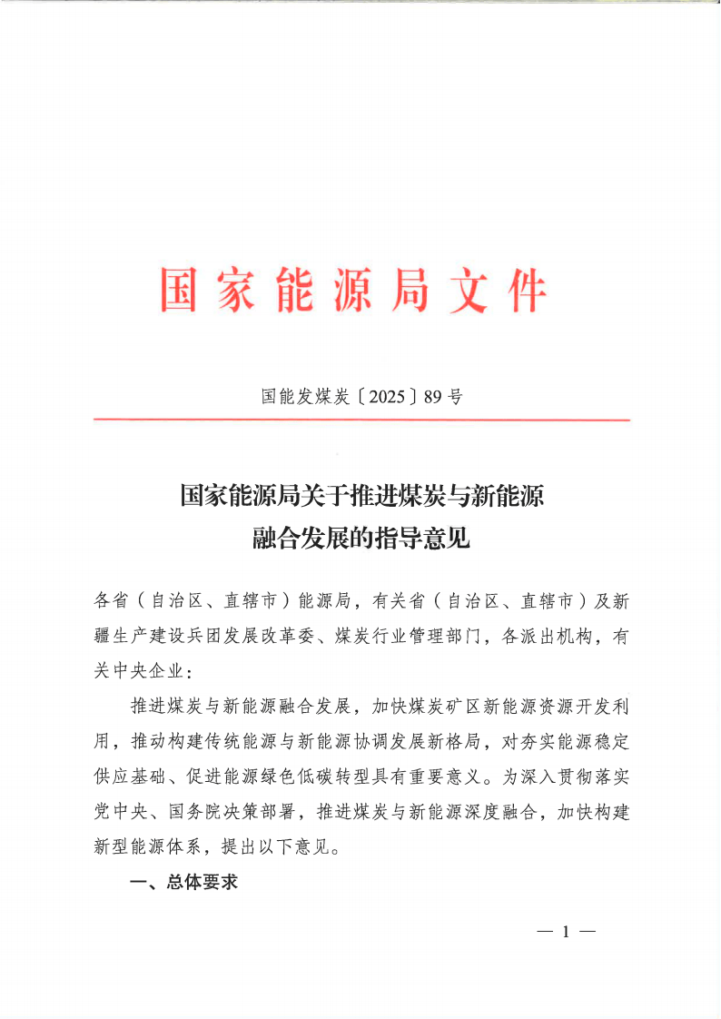 专家新能源政策正式实施，行业迎来变局