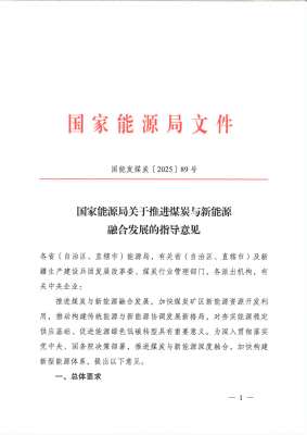 专家新能源政策正式实施，行业迎来变局